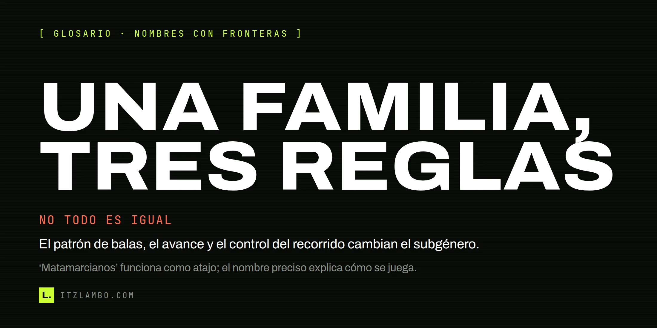 Cartel tipográfico sobre la variedad de fronteras dentro de los shmups.